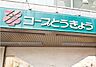周辺：コープみらい コープ上北台店 597m