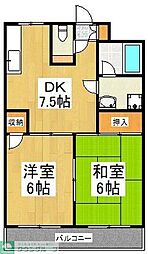 パティオ仲町 2DKの間取図画像