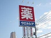 ウェルシア 875m