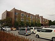 八潮市役所 441m
