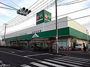 マルエツ草加稲荷店 1239m
