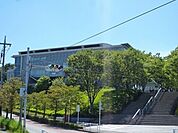 大妻女子大学 1900m