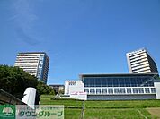 明星大学 徒歩13分。大学・短大 990m