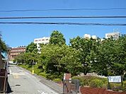 帝京大学 1100m