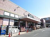 さえき是政食品館 784m