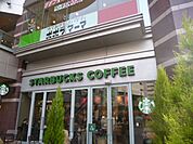 スターバックスコーヒー 312m