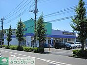 ウェルパーク日野神明店 徒歩10分。ドラックストア 740m