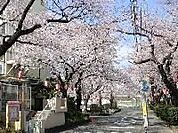 ひらやま保育園 756m