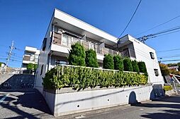 アドニスサザン