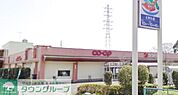 コープときわ店 徒歩12分。スーパー 900m