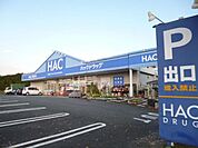 ハックドラッグ本町田店 1282m