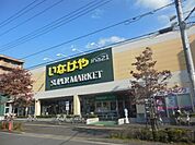 いなげや 280m