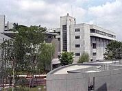 山野美術短期大学 2300m