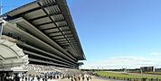 府中東京競馬場 2000m
