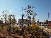 東松戸中央公園 340m