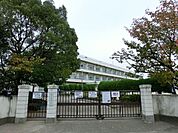 戸ヶ崎小学校 455m