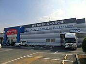 ケーズデンキ 徒歩10分。その他小売店 770m