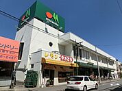 マルエツ上本郷店 219m