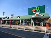 マルエツ小金原店 徒歩11分。スーパー 880m