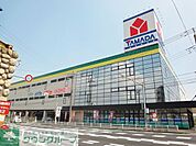 ヤマダ電機テックランドNew松戸本店 徒歩17分。ホームセンター 1290m