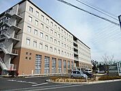 柏厚生総合病院 1200m