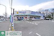 ウェルパーク入間春日町店 徒歩10分。ドラックストア 800m