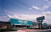 カインズ鶴ヶ島店 徒歩64分。ホームセンター 5050m