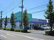 ウェルパーク日野神明店 555m