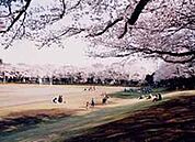 昭和公園 375m