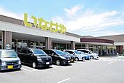 いなげや小平小川橋店 764m