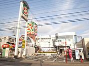 ライフ指扇店 1205m