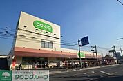 コープ 650m
