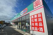 ドラッグセイムス見沼風渡野店 752m