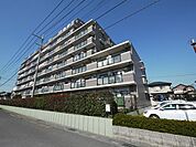 その他 10m