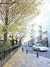 風の散歩道 240m