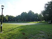 芦花公園 200m