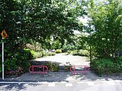 つばき緑地 50m