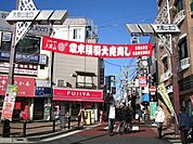 大岡山北口商店街 100m