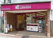 ナチュラルローソン北千束駅前店 237m