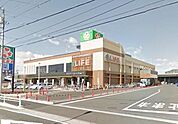 ライフ上鶴間店 577m