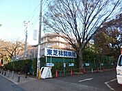 東芝林間病院 991m