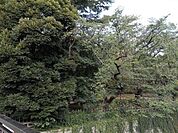 哲学堂公園 200m