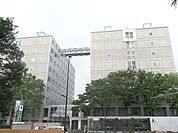早稲田理工 821m