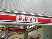 ポプラ 275m