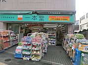 ドラッグストア一本堂東長崎店 489m