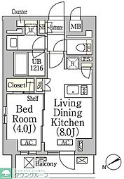 テラス高田馬場ウエスト 1LDKの間取図画像