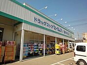 セイムス 979m