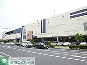 アクロスモール新鎌ヶ谷 徒歩8分。ショッピングセンター 570m