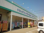 セイムス 2600m
