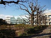 国立千葉大学園芸学部 700m